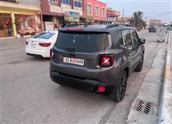 جيب رينيجيد